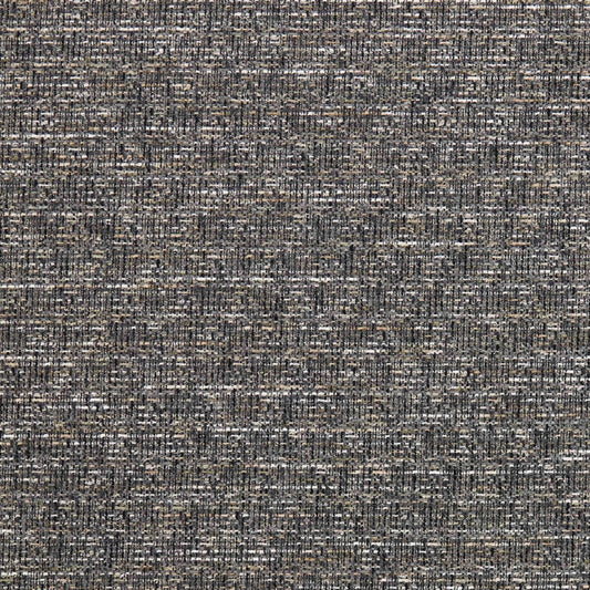 Warwick Madison Storm