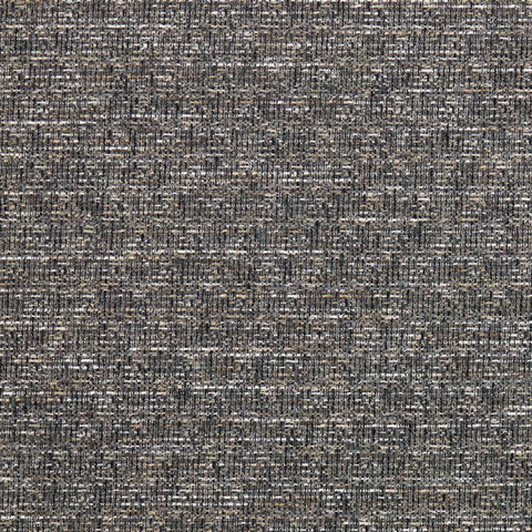 Warwick Madison Storm