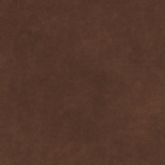 Warwick Magnum Cabernet