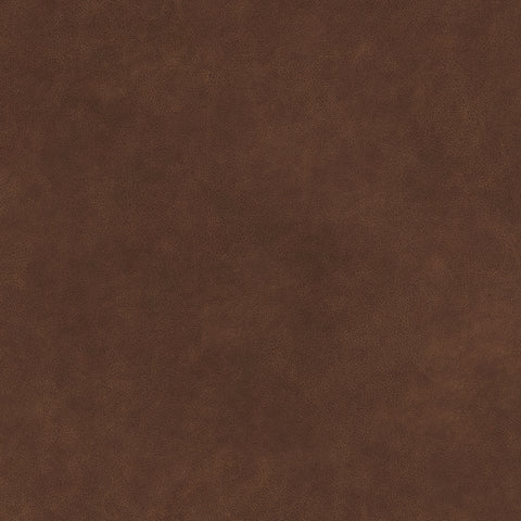 Warwick Magnum Cabernet