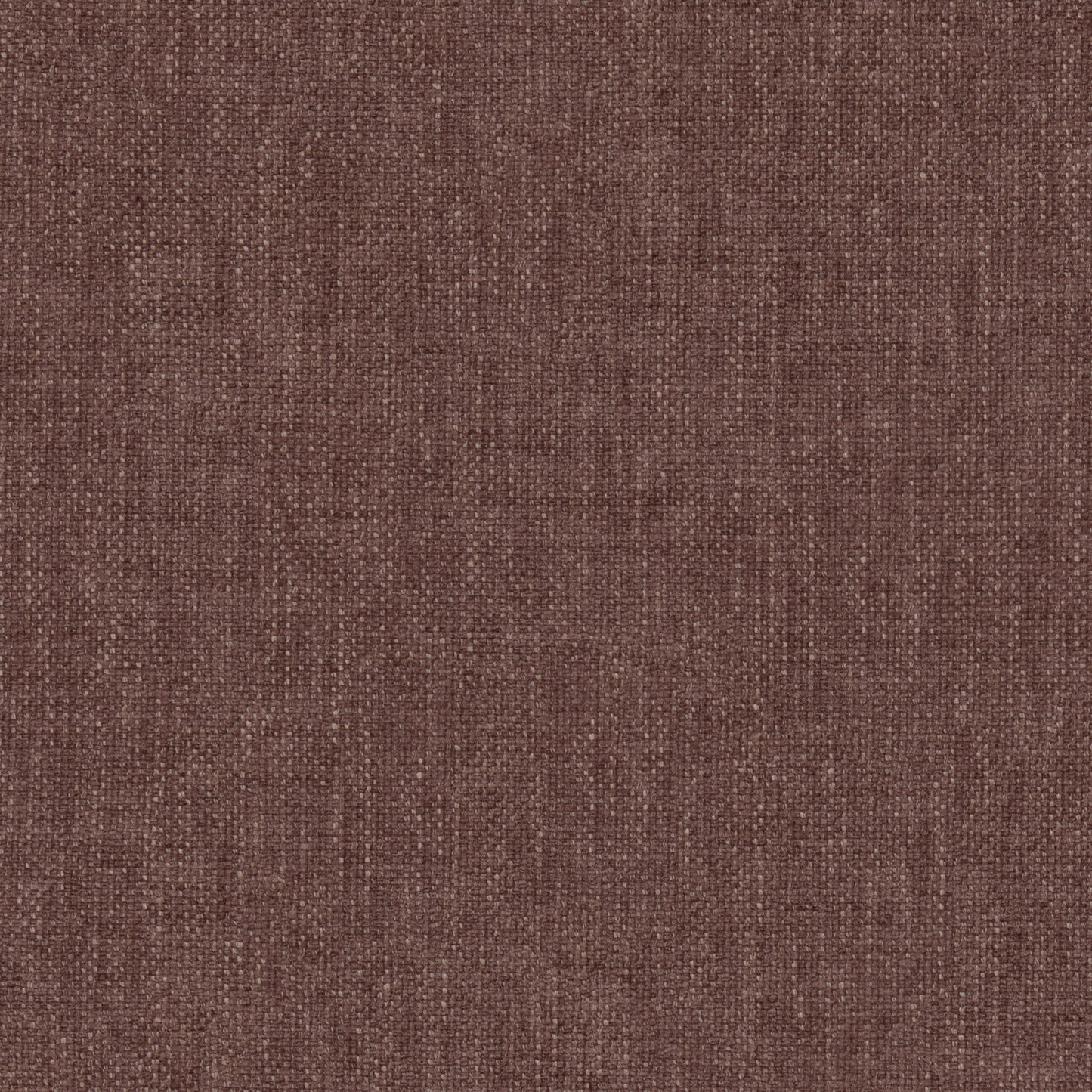Warwick Marni Cassis