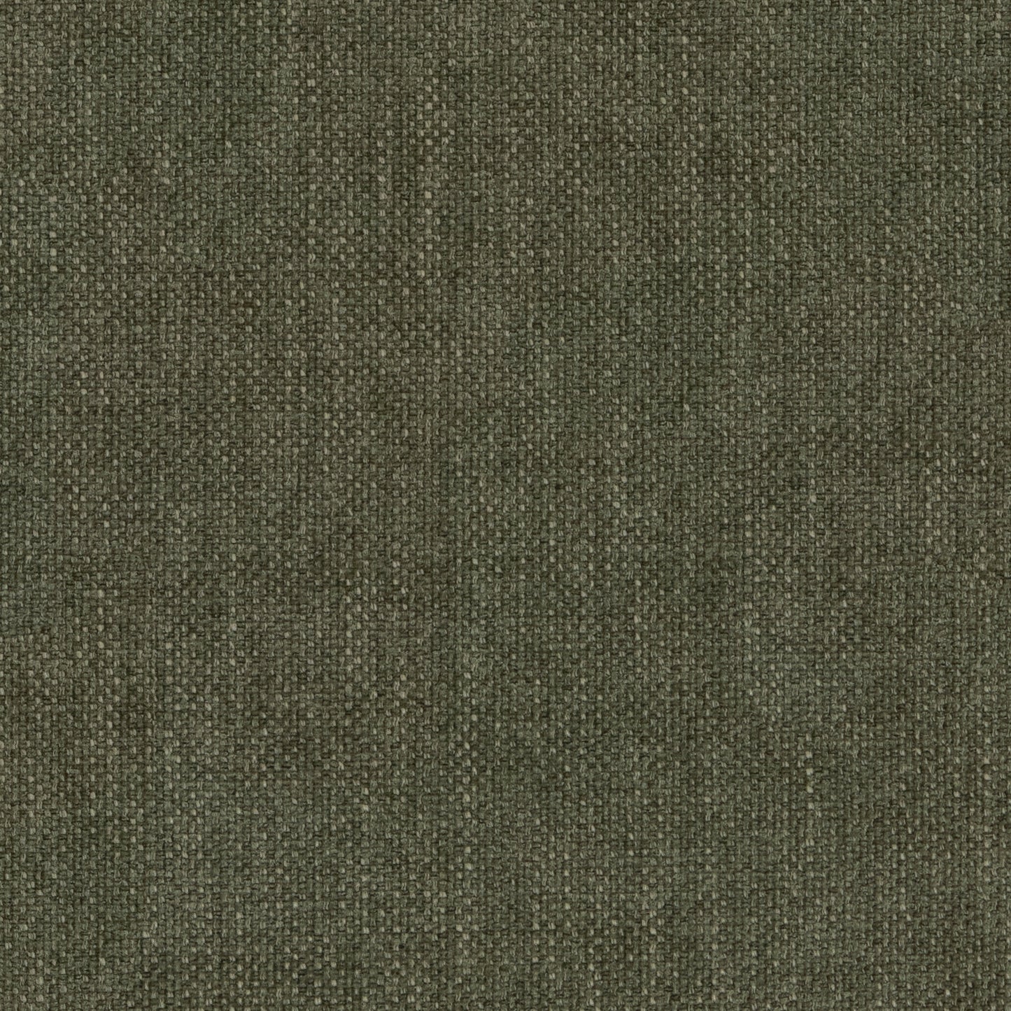 Warwick Marni Spruce