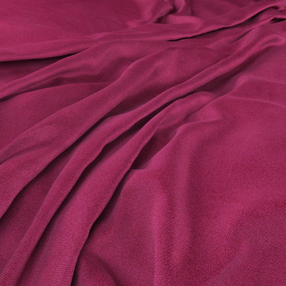 Warwick Marvellous Fuchsia