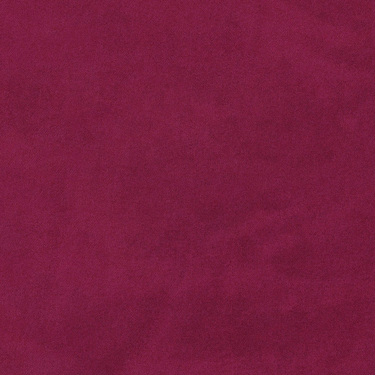 Warwick Marvellous Fuchsia