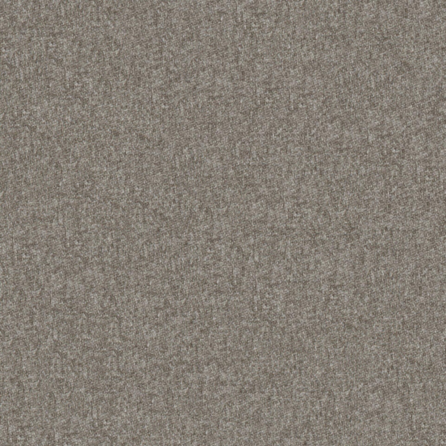 Warwick Melton Agouti