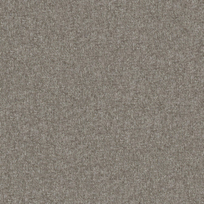 Warwick Melton Agouti