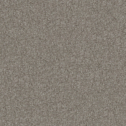 Warwick Melton Agouti