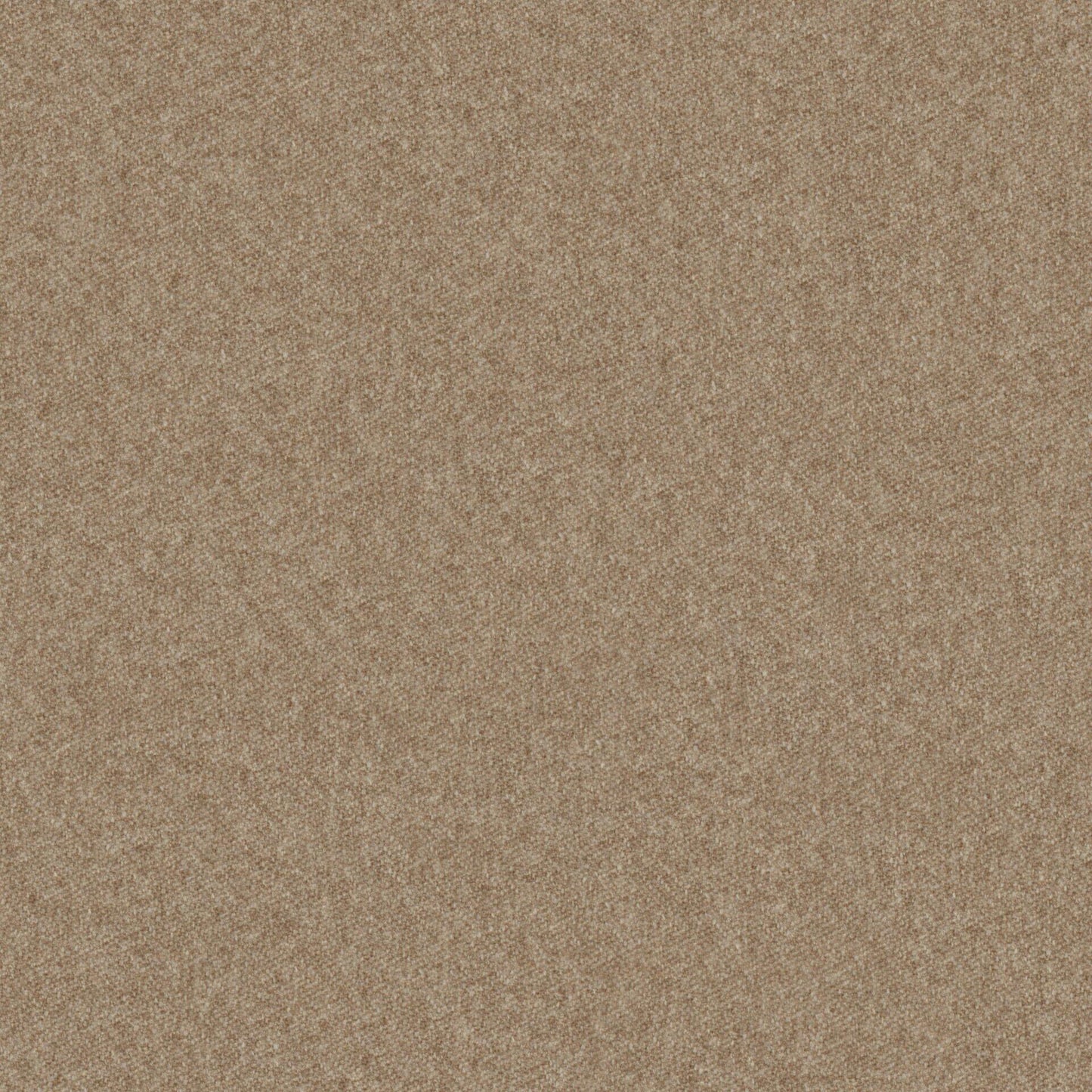 Warwick Melton Biscotti