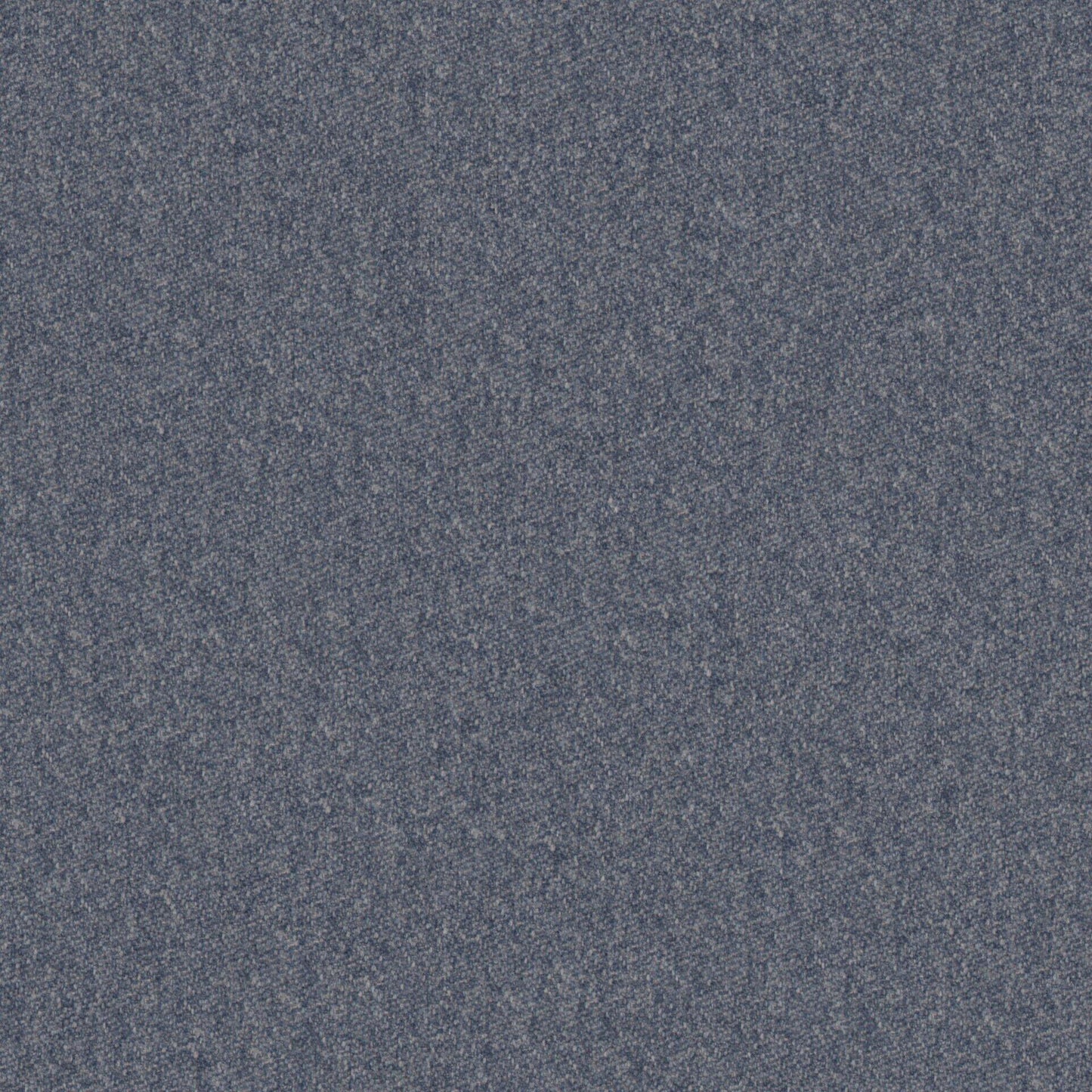 Warwick Melton Blueberry