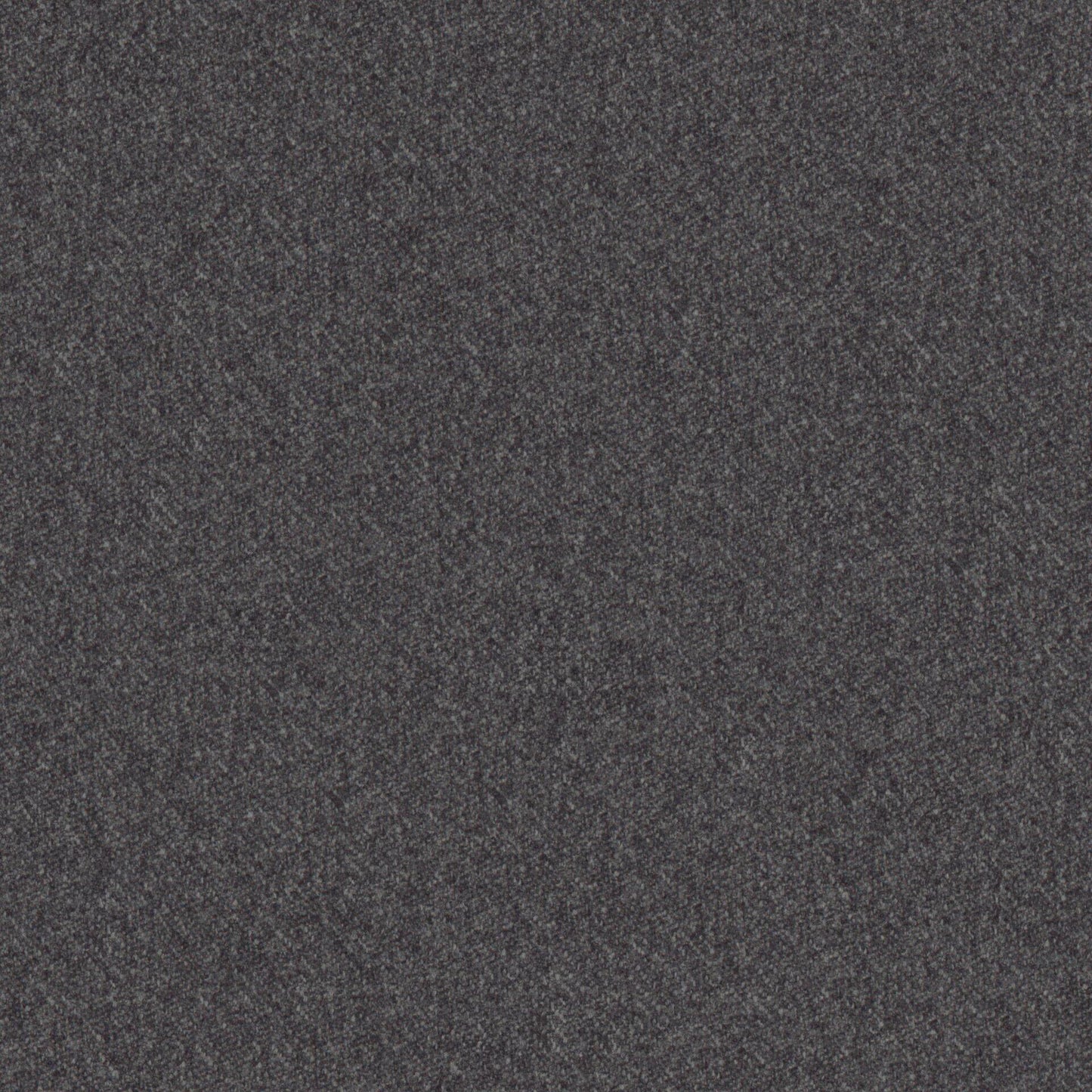 Warwick Melton Charcoal