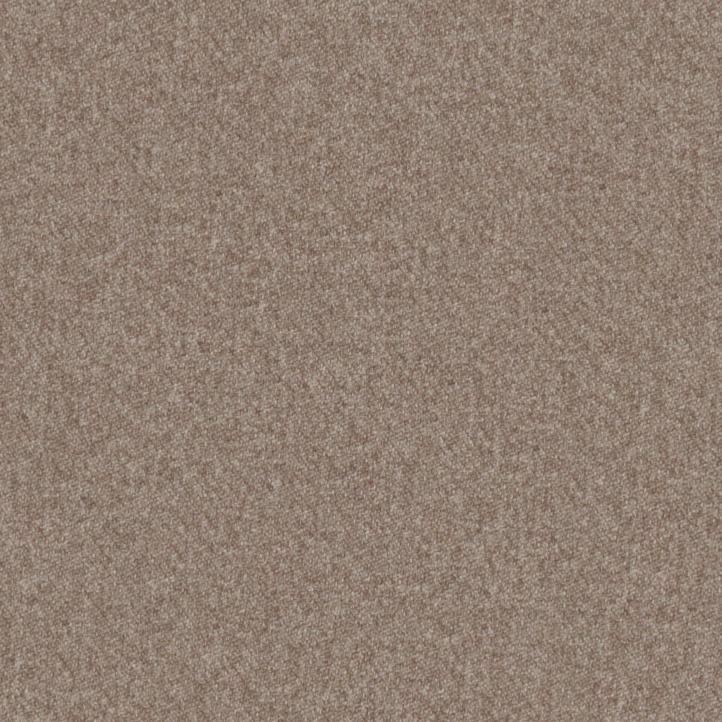 Warwick Melton Frappe