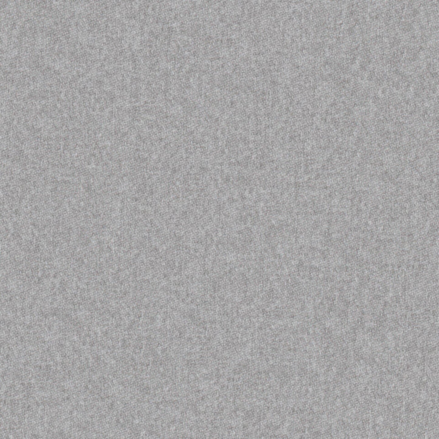 Warwick Melton Koala