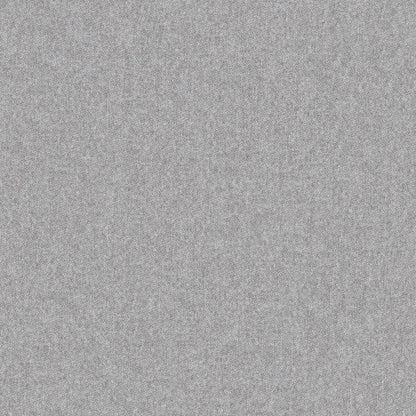 Warwick Melton Koala