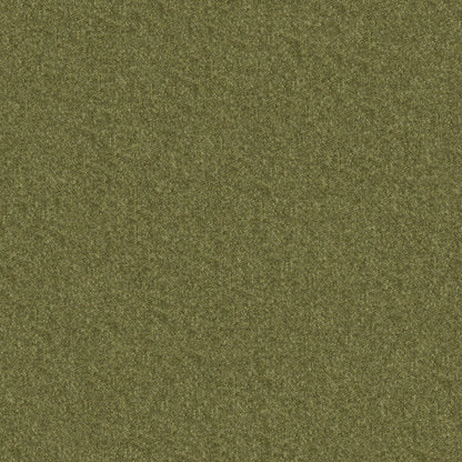 Warwick Melton Olive