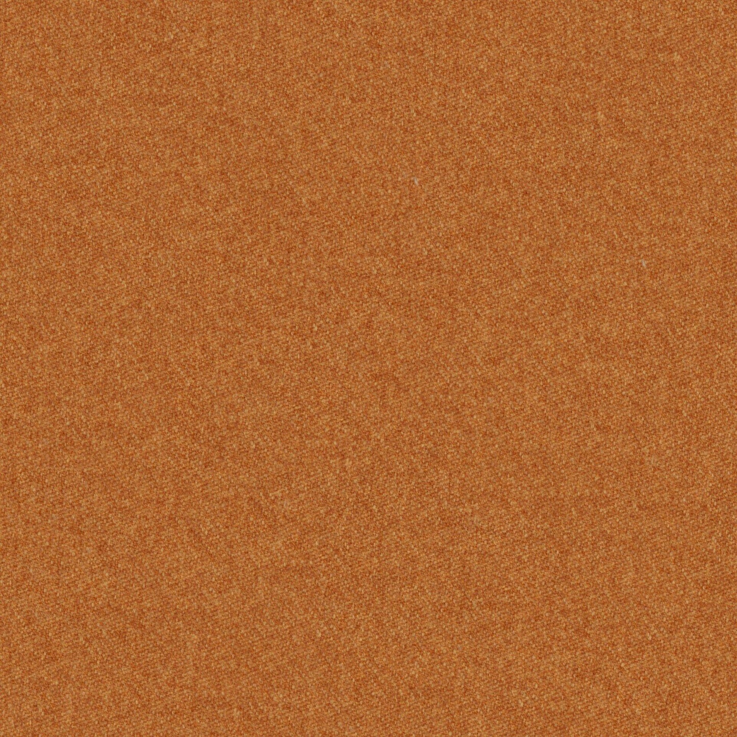 Warwick Melton Pumpkin