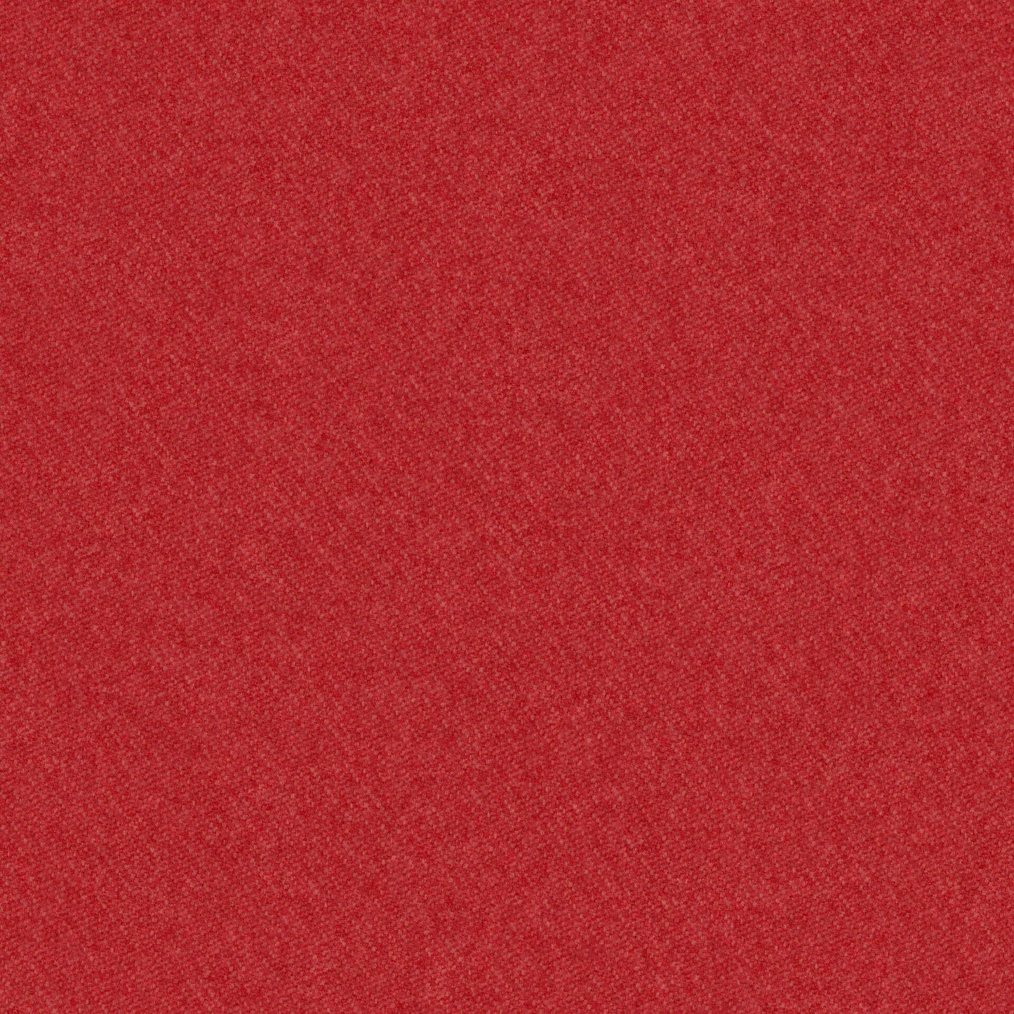 Warwick Melton Tomato