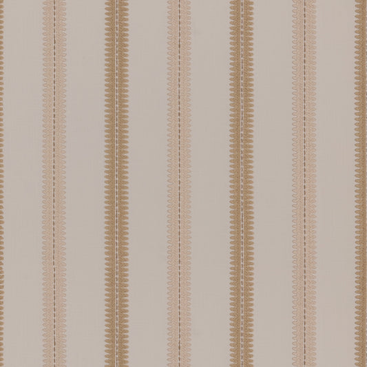 Warwick Meschutt Shell