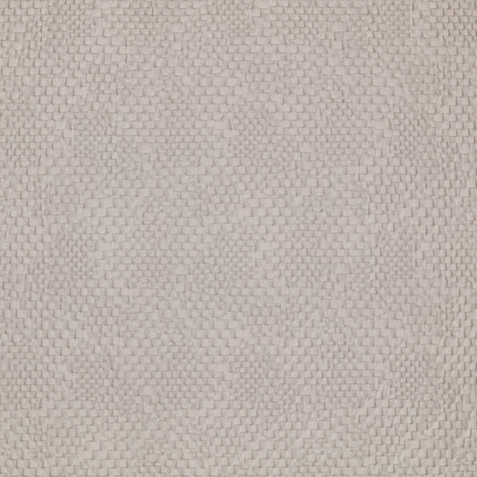 Warwick Metro Silver