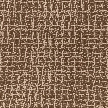 Warwick Mikumi Earth