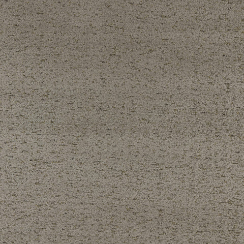 Warwick Montana Otter