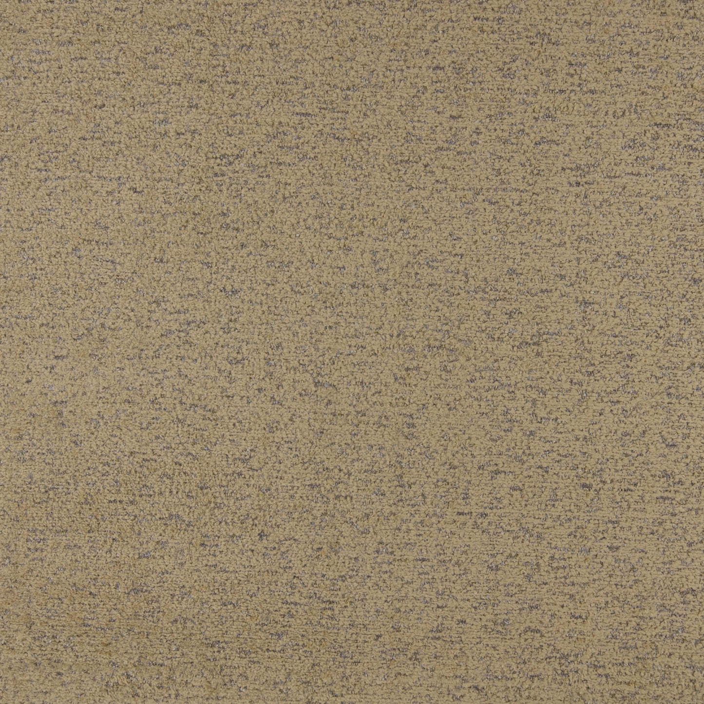 Warwick Montana Sand