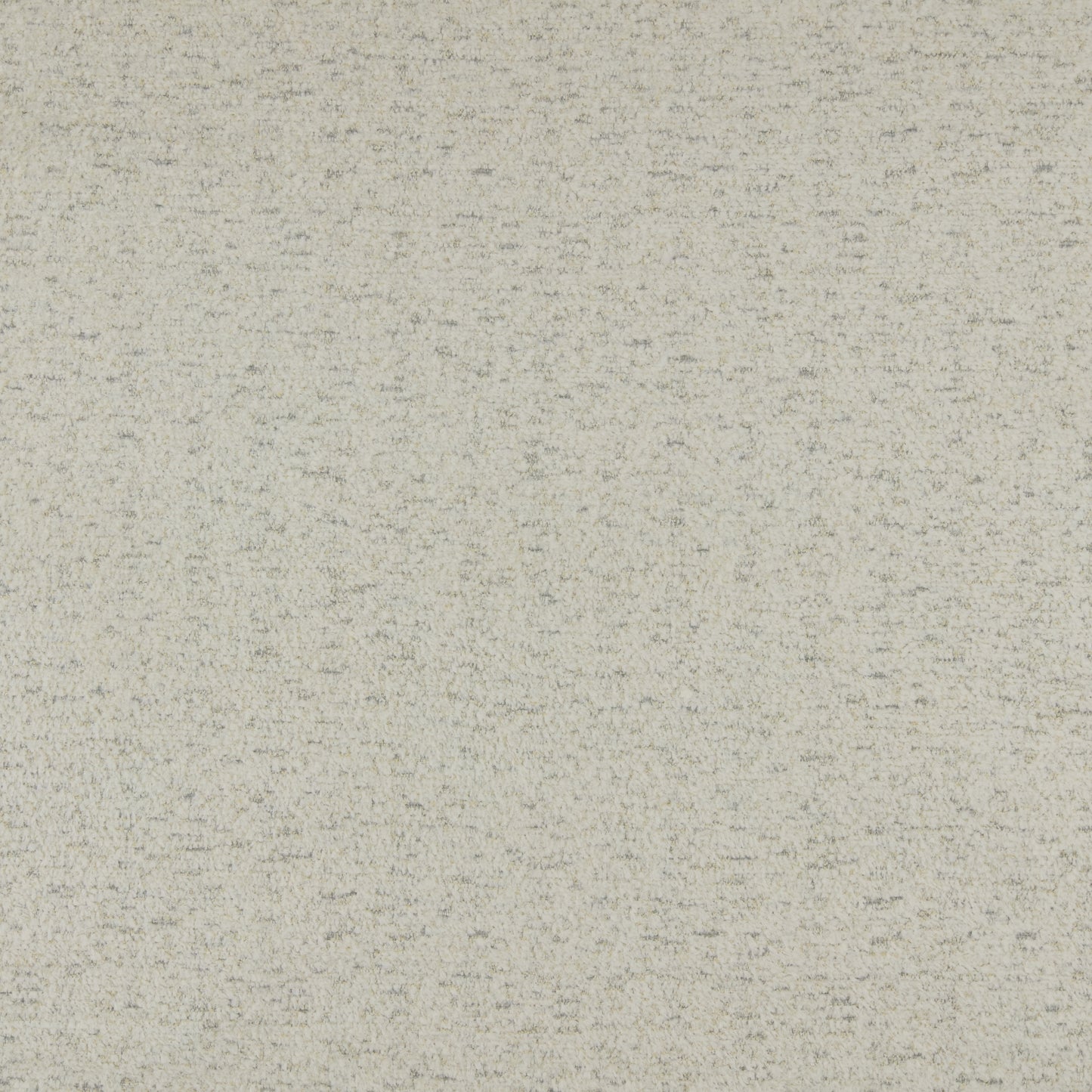 Warwick Montana Snow