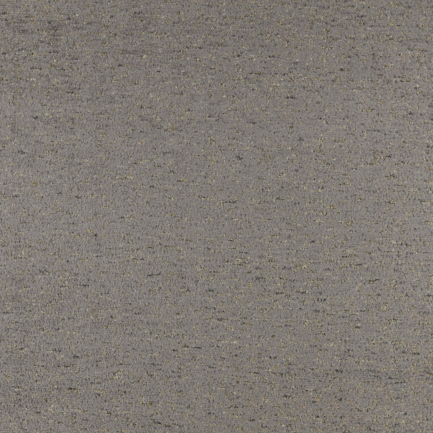 Warwick Montana Storm