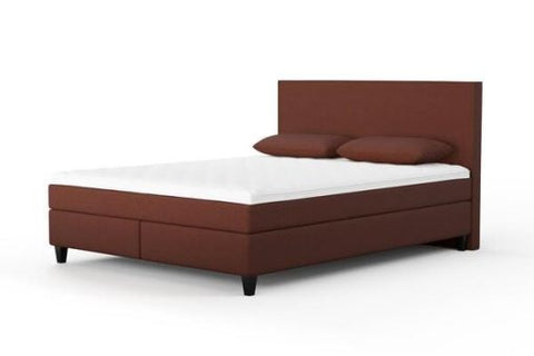 Today Interiors Veyra Terra