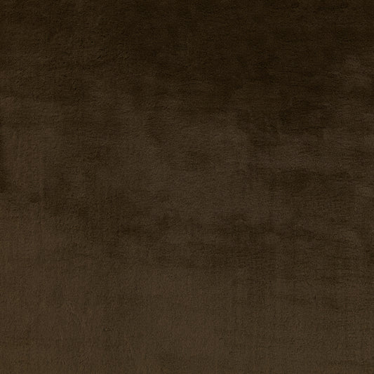 Warwick Njord Chestnut