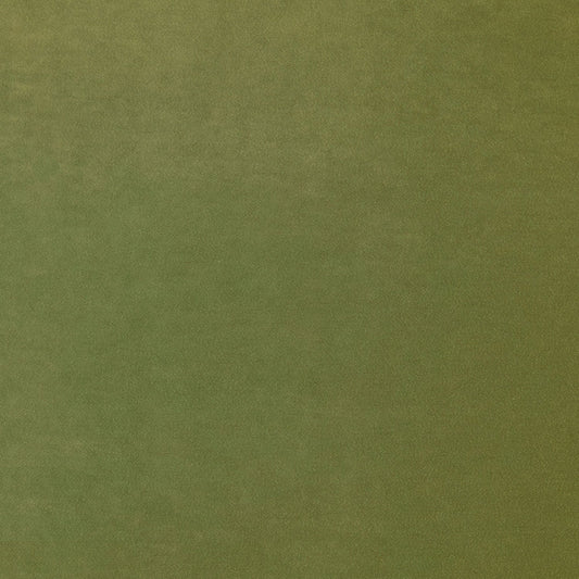 Linwood Omega IV Lime