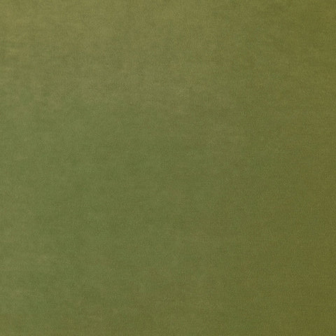 Linwood Omega IV Lime