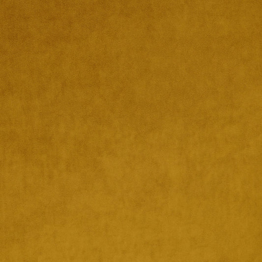 Linwood Omega IV Maize