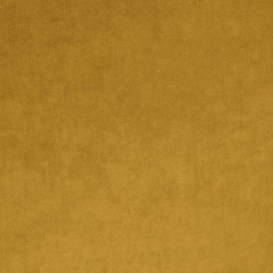 Linwood Omega IV Mustard