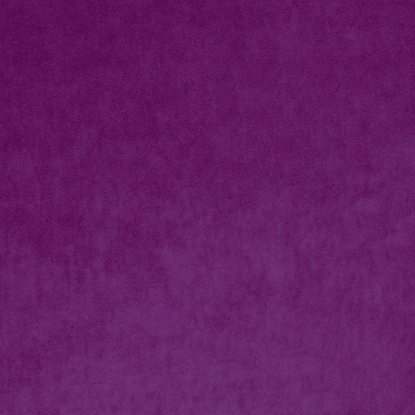 Linwood Omega IV Orchid