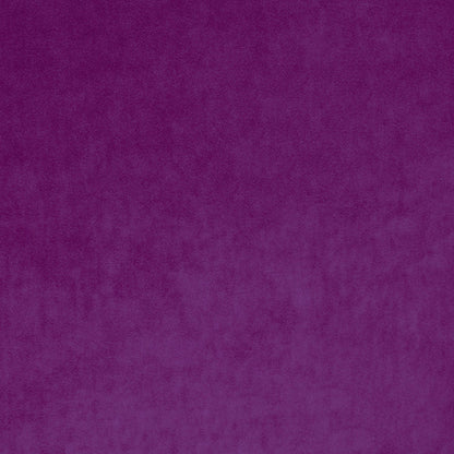 Linwood Omega IV Orchid