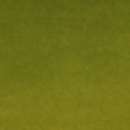 Linwood Omega IV Pistachio