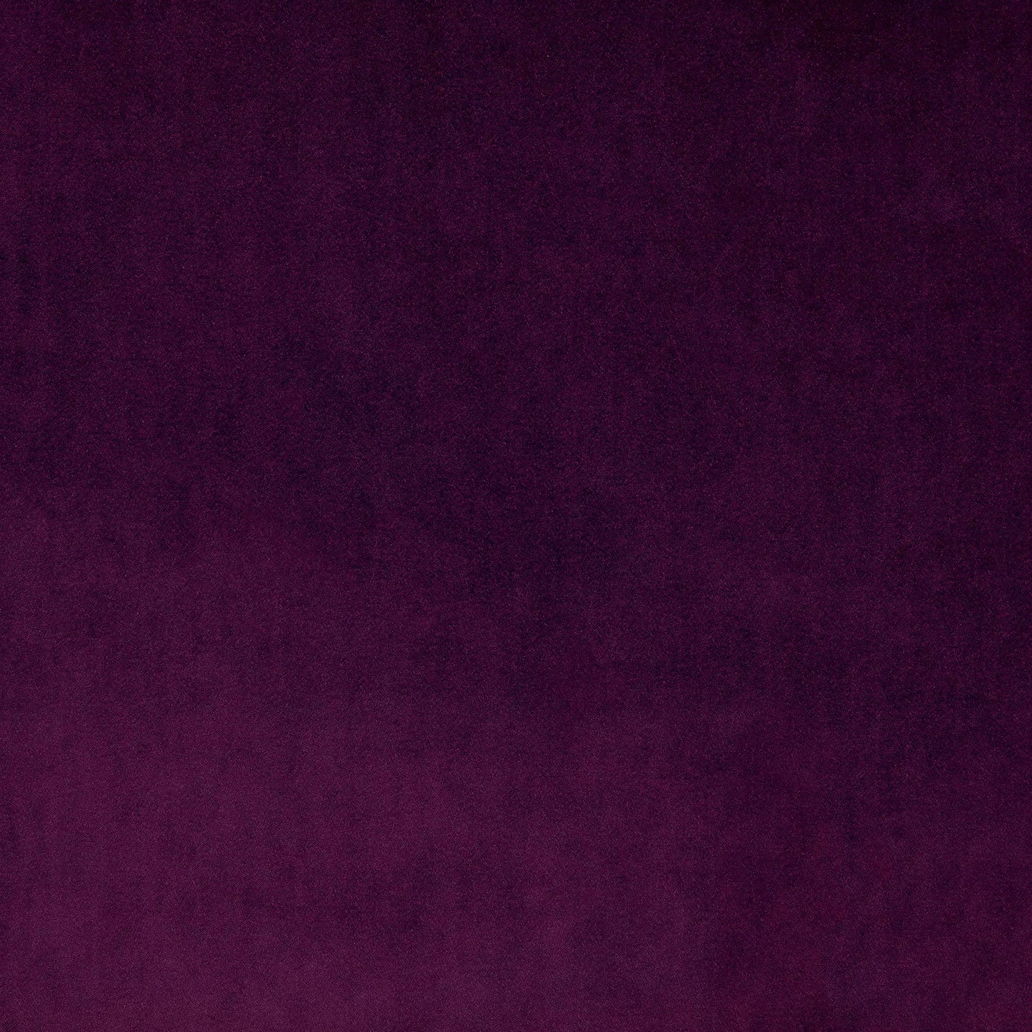 Linwood Omega IV Pitaya