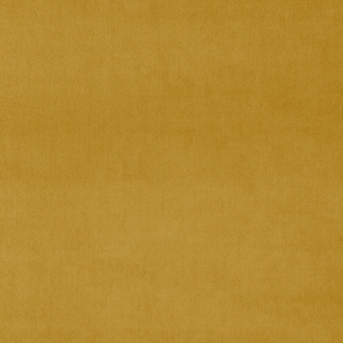 Linwood Omega Mustard