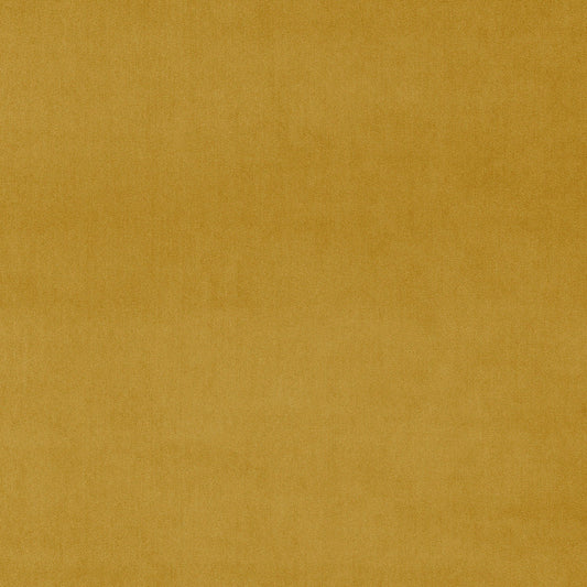 Linwood Omega Mustard