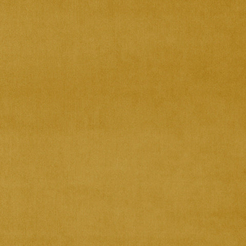 Linwood Omega Mustard