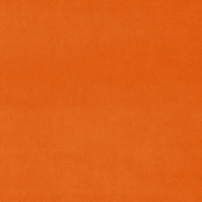 Linwood Omega Orange