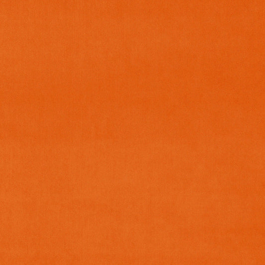 Linwood Omega Orange