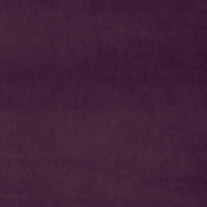 Linwood Omega Pitaya