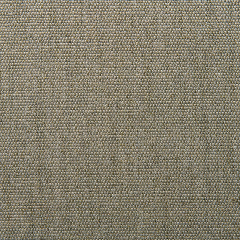 Linwood Orta Mushroom