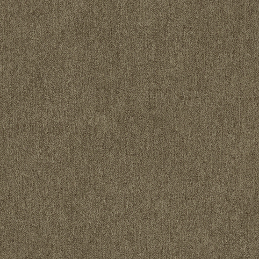 Warwick Peachy Lichen