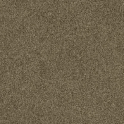 Warwick Peachy Lichen