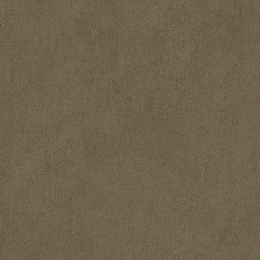 Warwick Peachy Lichen