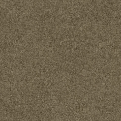 Warwick Peachy Lichen