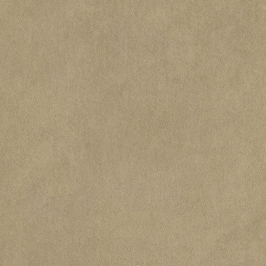 Warwick Peachy Limestone