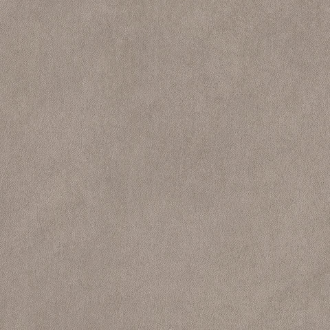 Warwick Peachy Quill